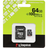 KINGSTON1