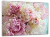 60100Розовыепионы