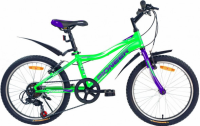 PIONEERBOOMER20