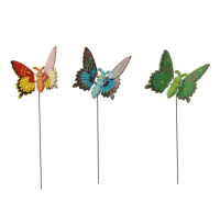 бабочкасадовая