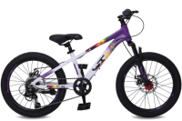 LTBIKESKILLА2000820