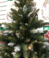 АЛЬПИЙСКАЯСЕРЕБРО