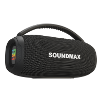 SOUNDMAXSMPS5031B