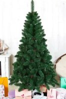 БЕЛОВЕЖСКАЯШ