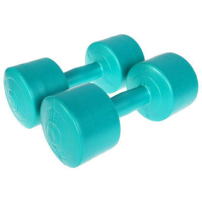 Гантеливиниловые,2штукипо3кг,3366772