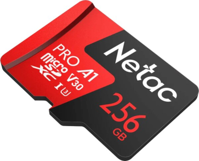 NETACMicroSD256GbP500